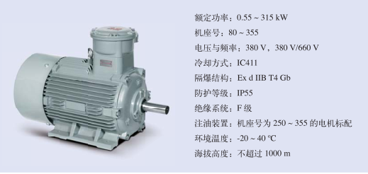 防爆電機銘牌各個參數的含義是什么