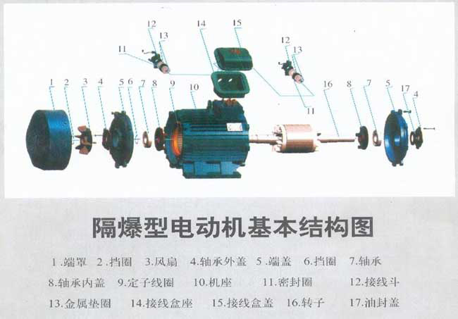 防爆電機結構圖解及接線實物圖